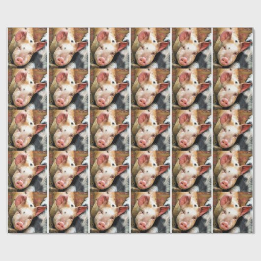 SCHWEINE GESCHENKPAPIER (Flach)