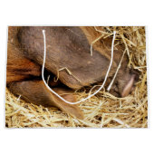 SCHWEINE GROßE GESCHENKTÜTE (Vorderseite)