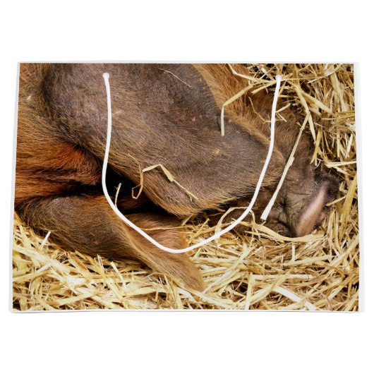 SCHWEINE GROßE GESCHENKTÜTE (Vorderseite)