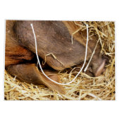 SCHWEINE GROßE GESCHENKTÜTE (Rückseite)