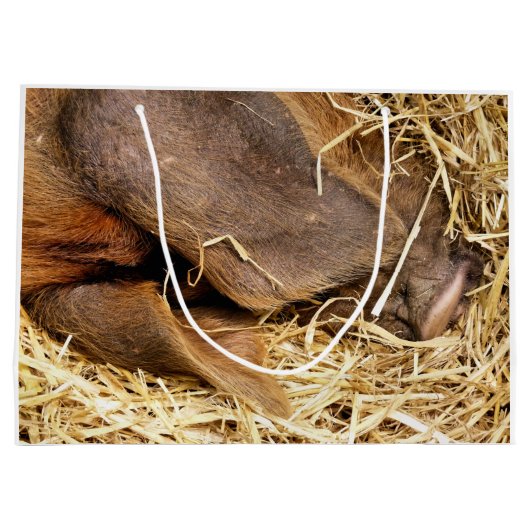 SCHWEINE GROßE GESCHENKTÜTE (Rückseite)