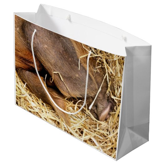 SCHWEINE GROßE GESCHENKTÜTE (Rückseite Schrägansicht)