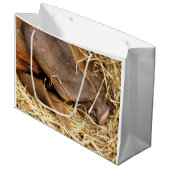 SCHWEINE GROßE GESCHENKTÜTE (Vorderseite Schrägansicht)