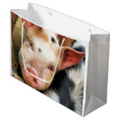 SCHWEINE GROßE GESCHENKTÜTE (Vorderseite Schrägansicht)