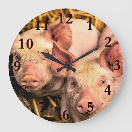 Schweine Große Wanduhr (Vorderseite)