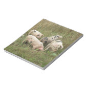 Schweine in einem FeldNotepad Notizblock (Rotiert)