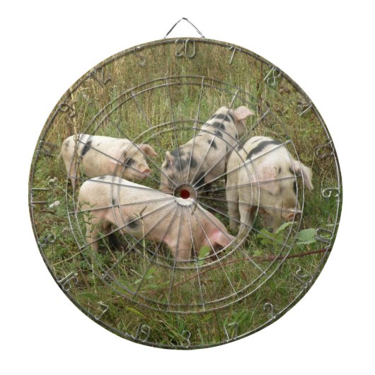 Schweine in einem Field Dart Board Dartscheibe (vorne)