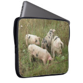 Schweine in einem Field-Laptop-Beutel Laptopschutzhülle (Vorne Rechts)