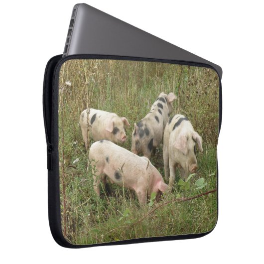 Schweine in einem Field-Laptop-Beutel Laptopschutzhülle (Vorne Rechts)