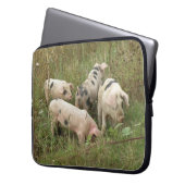 Schweine in einem Field-Laptop-Beutel Laptopschutzhülle (Vorderseite Links)