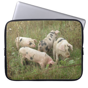 Schweine in einem Field-Laptop-Beutel Laptopschutzhülle