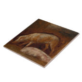 Schweine in einem Stall (Tierart) Fliese (Seite)