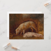 Schweine in einem Stall (Tierart) Karte (Vorderseite/Rückseite Beispiel)