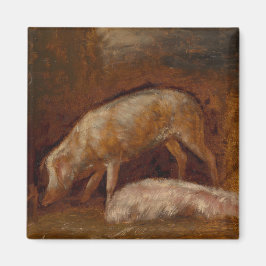 Schweine in einem Stall (Tierart) Magnet