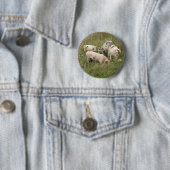 Schweine in einer Feldschaltfläche Button (Beispiel)