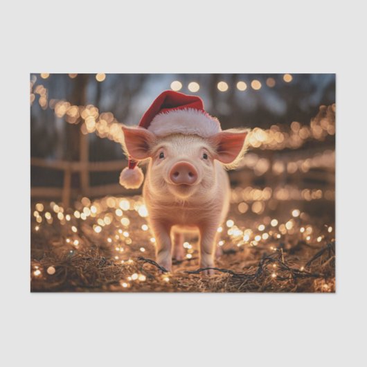 Schweine in einer Weihnachtsmannmütze Seidenpapier (Vorderseite)