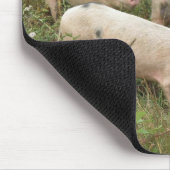 Schweine in Feldmousepad Mousepad (Ecke)