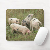 Schweine in Feldmousepad Mousepad (Mit Mouse)