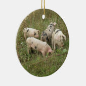 Schweine in Feldschmuck Keramikornament (Rechts)