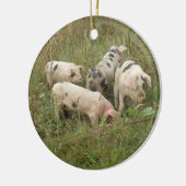 Schweine in Feldschmuck Keramikornament (Links)