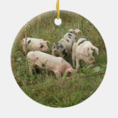 Schweine in Feldschmuck Keramikornament (Hinten)
