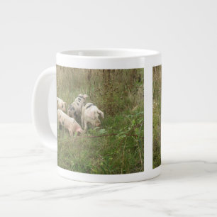 Schweine in Tasse