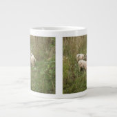 Schweine in Tasse (Vorderseite)
