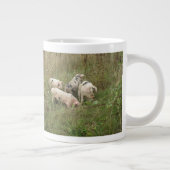 Schweine in Tasse (Rechts)
