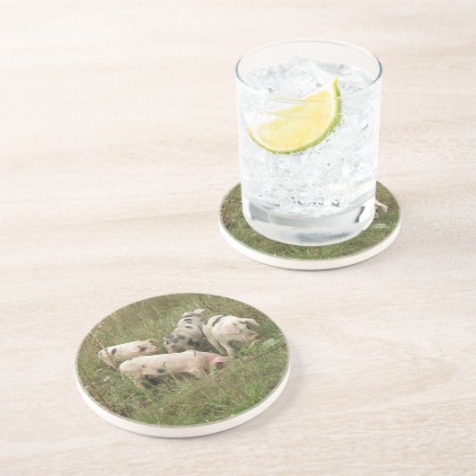 Schweine in Untersetzer (Seite)