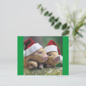Schweine in Weihnachtsmannmütze Feiertagspostkarte (Stehend Vorderseite)