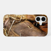 SCHWEINE iPhone 16 HÜLLE (Rückseite (Horizontal))