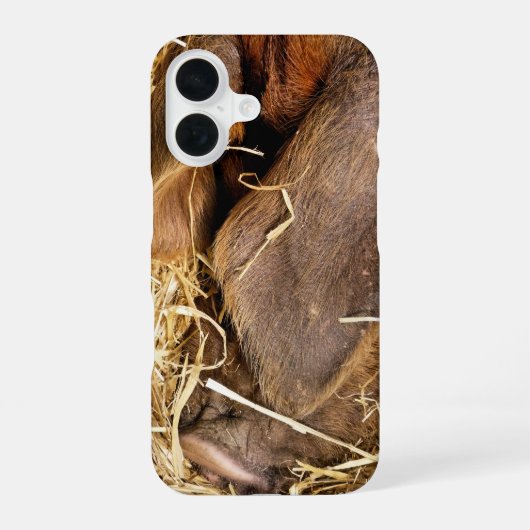 SCHWEINE iPhone 16 HÜLLE (Rückseite)