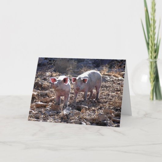 Schweine Karte (Vorderseite)