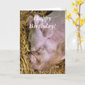 SCHWEINE KARTE (Gelbe Blume)