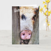 SCHWEINE KARTE (Gelbe Blume)