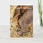 SCHWEINE KARTE (Vorderseite)