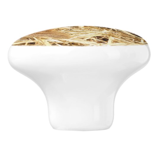 SCHWEINE KERAMIKKNAUF (Seitenansicht)