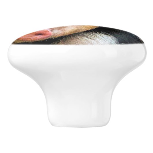 SCHWEINE KERAMIKKNAUF (Seitenansicht)