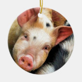 SCHWEINE KERAMIKORNAMENT (Vorne)