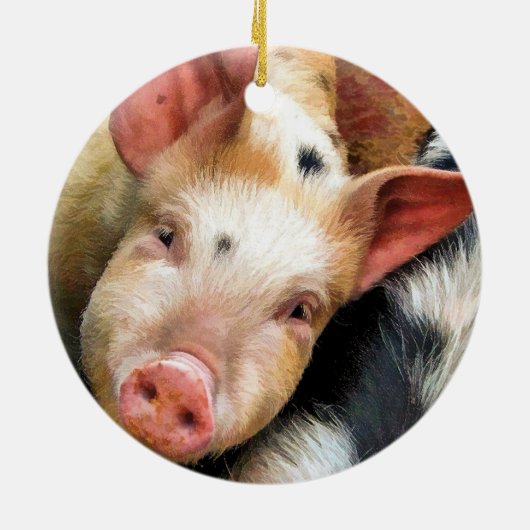 SCHWEINE KERAMIKORNAMENT (Hinten)