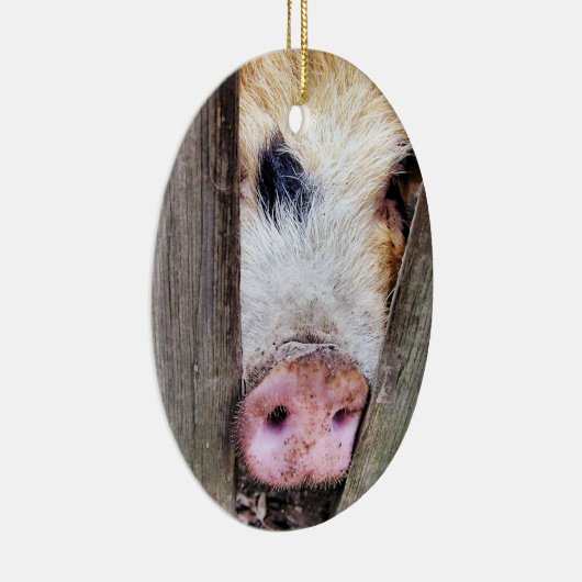SCHWEINE KERAMIKORNAMENT (Rechts)