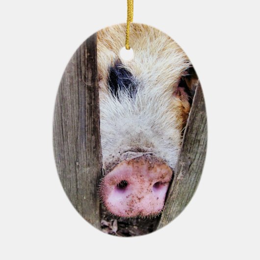 SCHWEINE KERAMIKORNAMENT (Vorne)