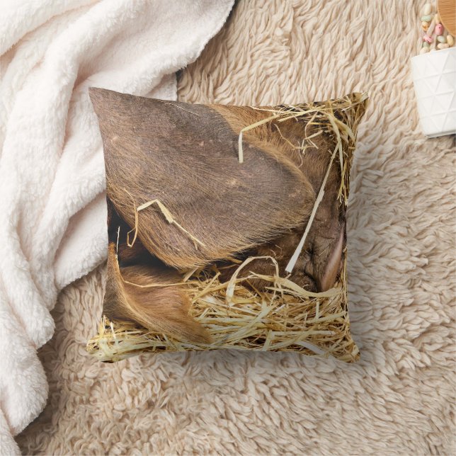 SCHWEINE KISSEN (Decke)