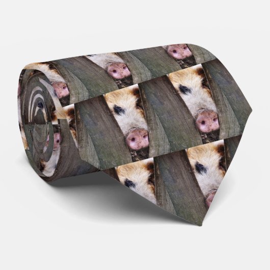 SCHWEINE KRAWATTE (Gerollt)