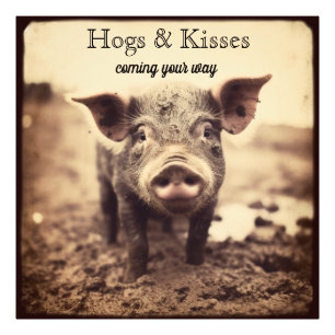 Schweine & Küsse Vintage Sepia Schwein Kunst Fotodruck