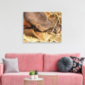 SCHWEINE LEINWANDDRUCK (Insitu (Wohnzimmer))