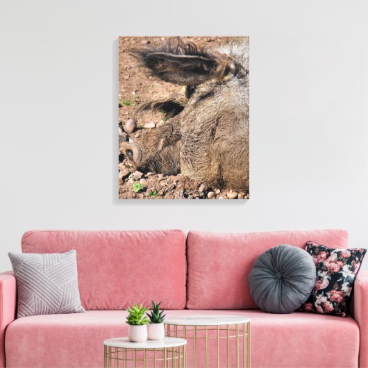 SCHWEINE LEINWANDDRUCK (Insitu (Wohnzimmer))