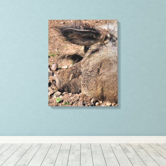 SCHWEINE LEINWANDDRUCK (Insitu (Holzboden))