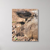 SCHWEINE LEINWANDDRUCK (Vorderseite)