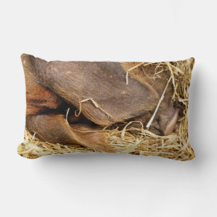 SCHWEINE LENDENKISSEN